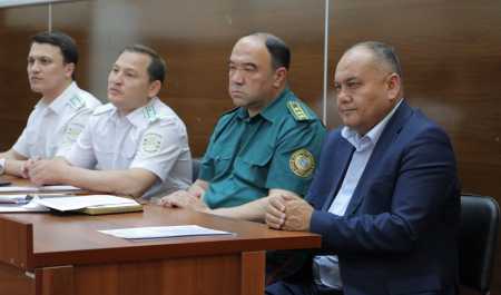 «O‘g‘rilik va firibgarlik ko‘paygan»: jinoyatchilik statistikasi e’lon qilindi