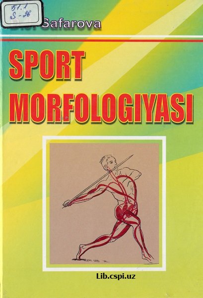 Sport morfologiyasi