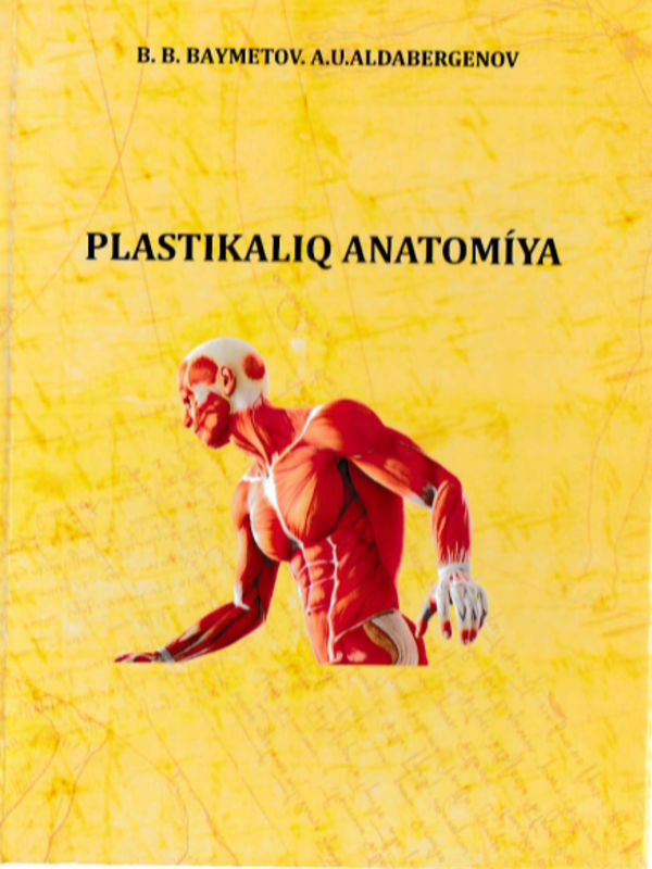 Plastikaliq anatomiya