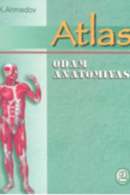 Odam anatomiyasi. Atlas. 2-jild