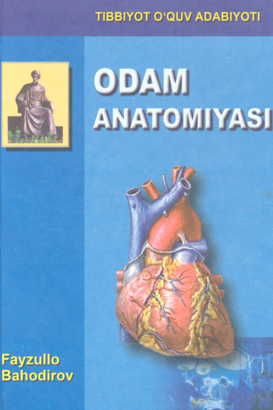 Odam anatomiyasi