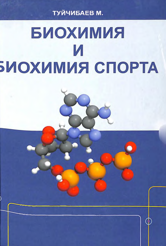 Биохимия и биохимия спорта