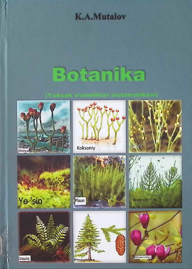 Botanika (Yuksak oʻsimliklar sistematikasi)