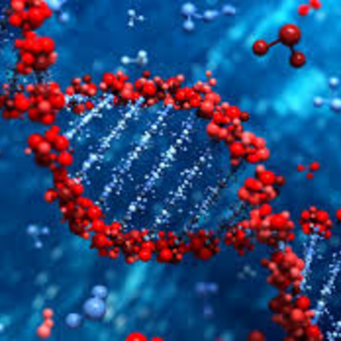 Molekulyar biologiya va bioinformatika  ilmiy-tadqiqot laboratoriyasi - CHDPU