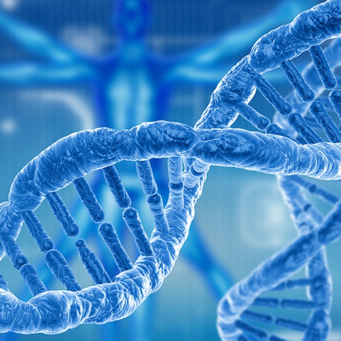 Genetika va evolyutsion biologiya o'simliklar genetikasi va biotexnologiyasi ilmiy-tadqiqot laboratoriyasi - CHDPU