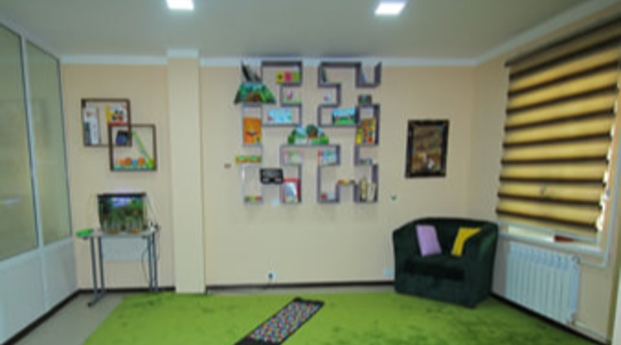 Касбий фаолият амалиёти