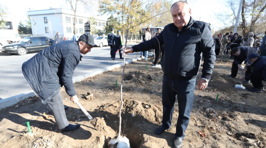 Bir ko‘chat – bir hayot! Yashil makon loyihasi davom etmoqda