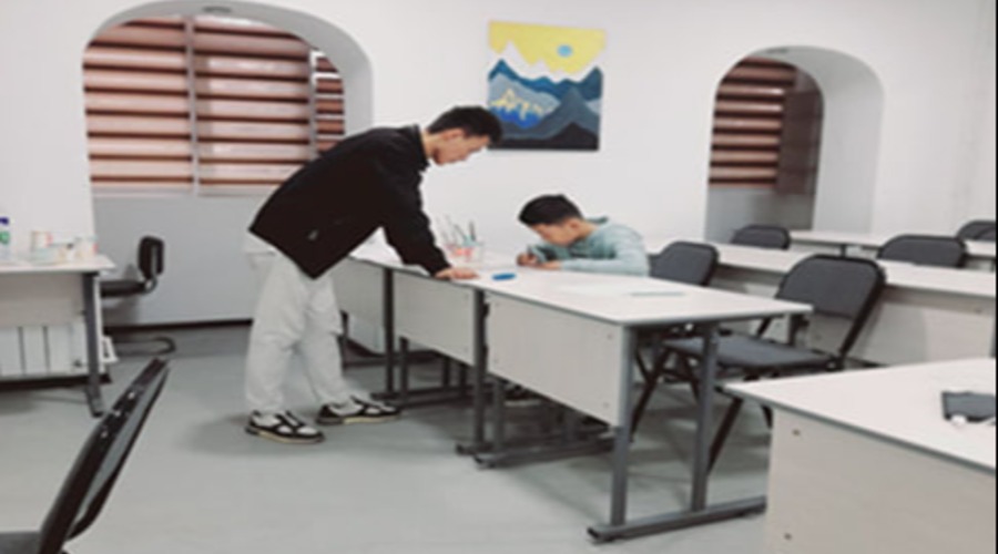 Касбий фаолият амалиёти