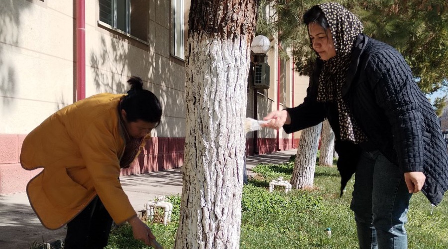 Bino rahbari Jonuzoq aka talabalarning videonigohida! Kreativ kadr! Rahmat!