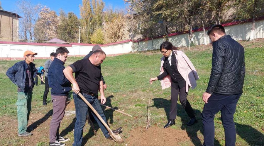 "Yashil makon" umum milliy loyihasi