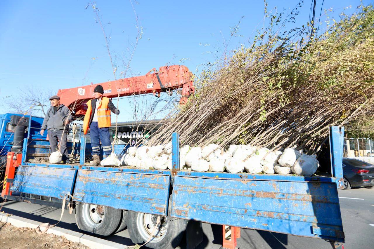 Bir ko‘chat – bir hayot! Yashil makon loyihasi davom etmoqda Gallery Image