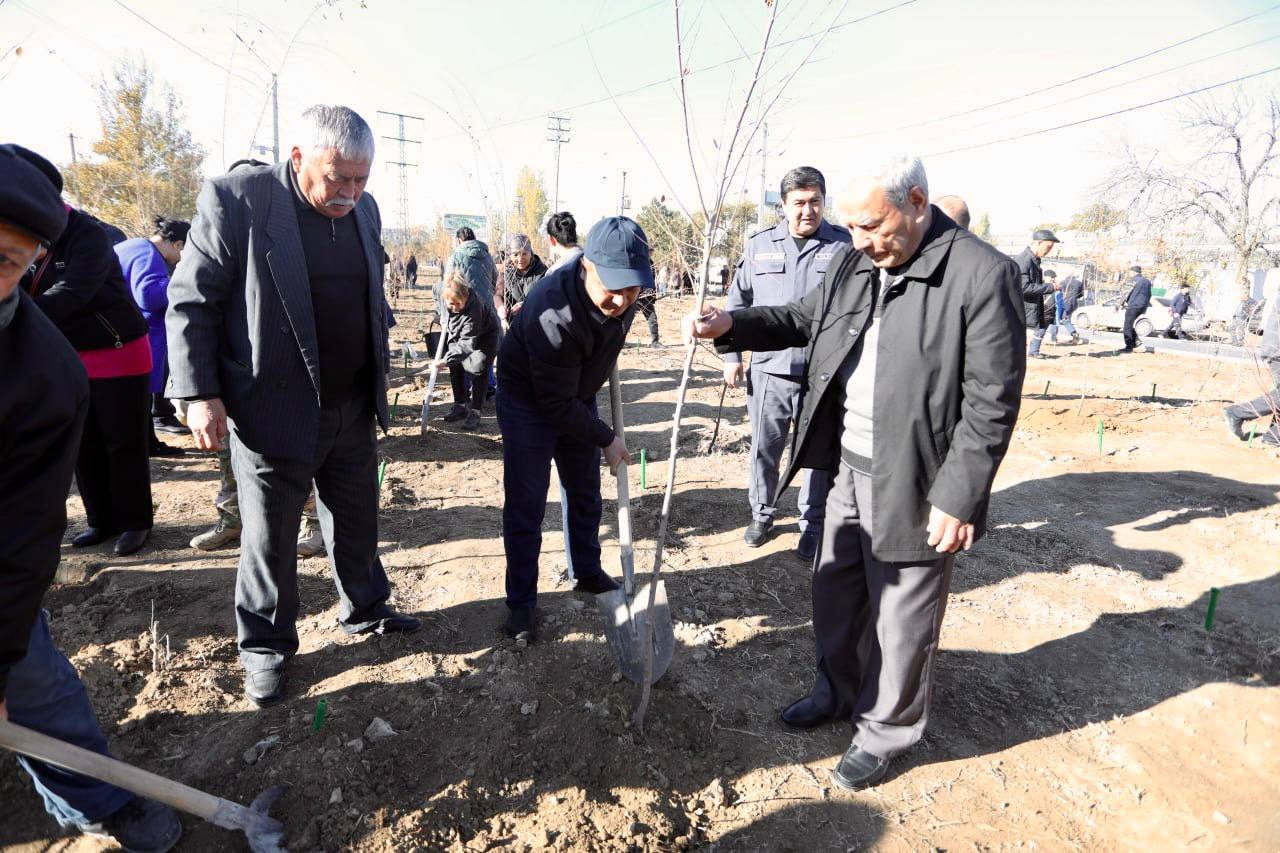 “Bir ko‘chat – bir hayot!” Gallery Image