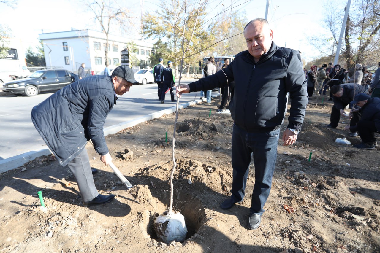 Bir ko‘chat – bir hayot! Yashil makon loyihasi davom etmoqda Gallery Image