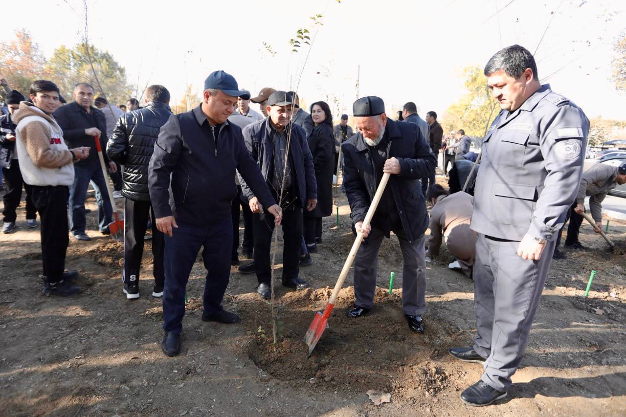 “Bir ko‘chat – bir hayot!” Gallery Image