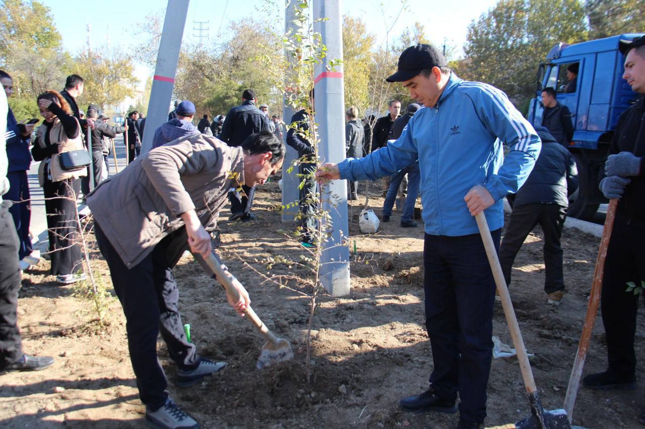 Bir ko‘chat – bir hayot! Yashil makon loyihasi davom etmoqda Gallery Image